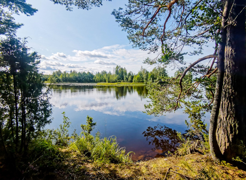 Propriétaire d'étang